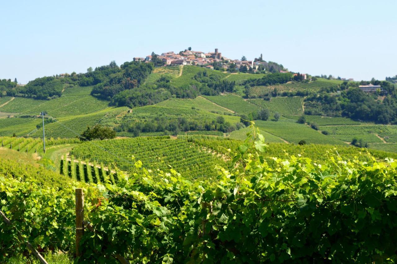 Bed & Tours Dimora Di Campagna Bed & Breakfast Castelnuovo Belbo Exterior foto