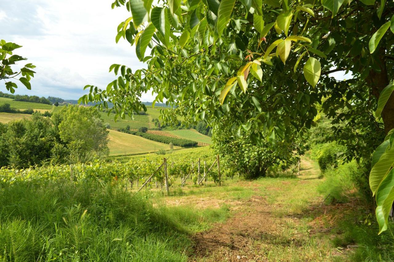 Bed & Tours Dimora Di Campagna Bed & Breakfast Castelnuovo Belbo Exterior foto