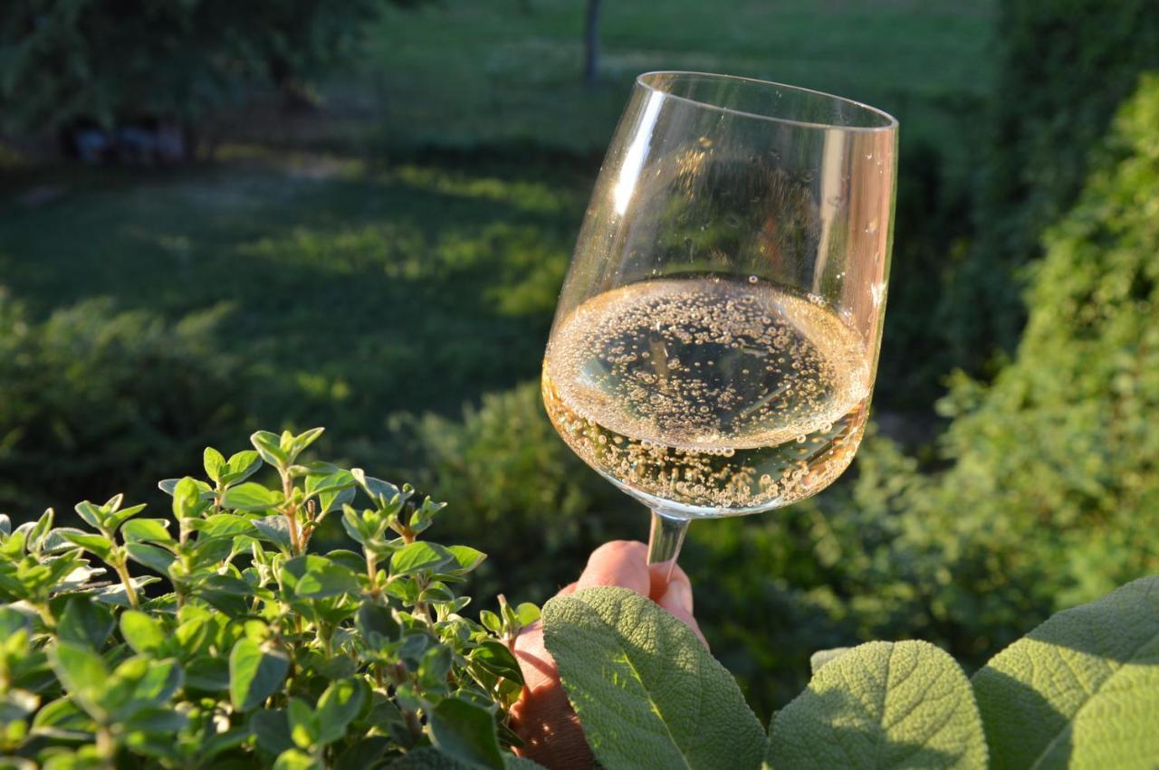 Bed & Tours Dimora Di Campagna Bed & Breakfast Castelnuovo Belbo Exterior foto