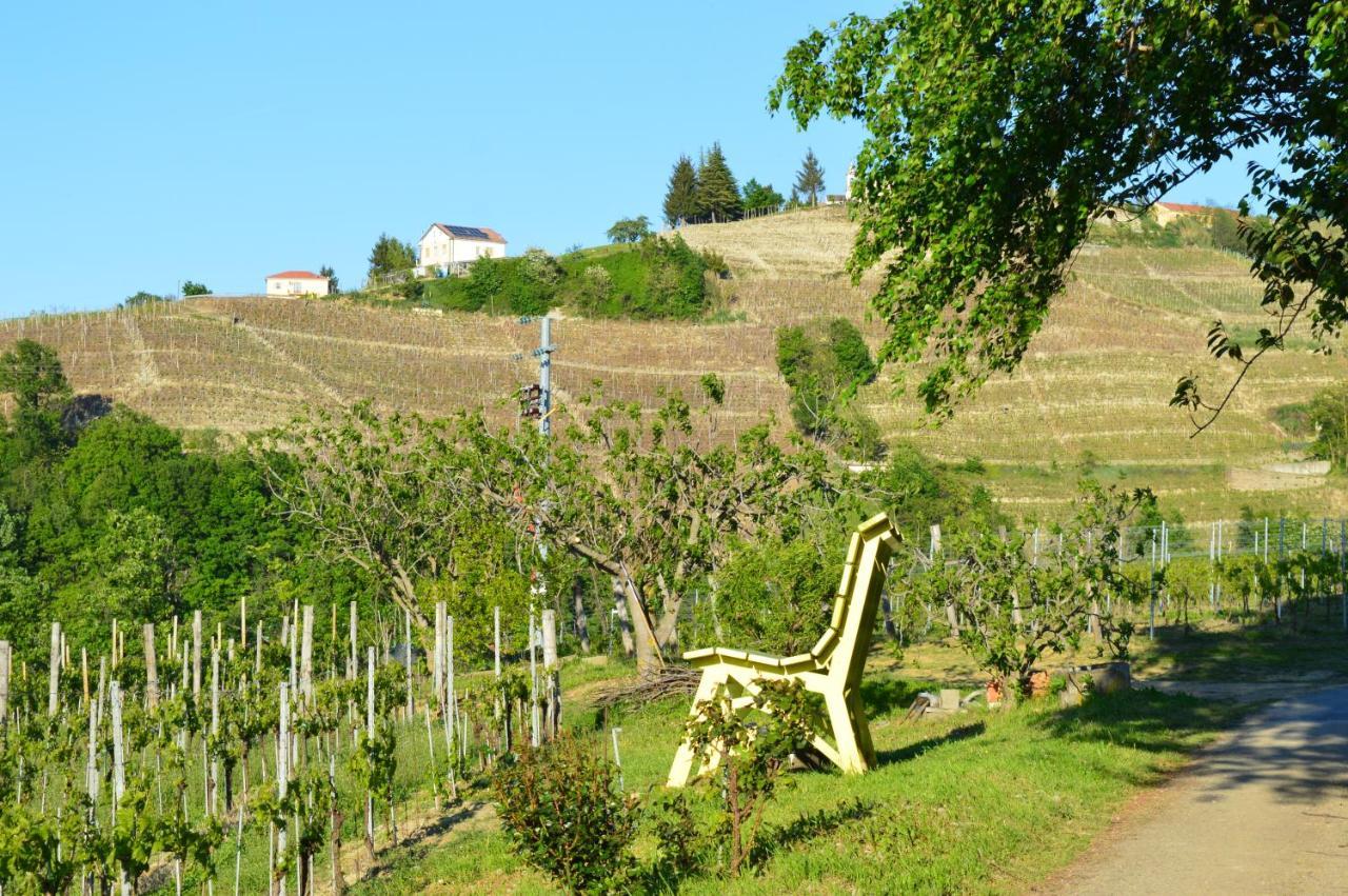 Bed & Tours Dimora Di Campagna Bed & Breakfast Castelnuovo Belbo Exterior foto